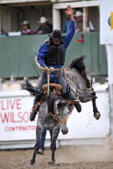 Saddle bronc 