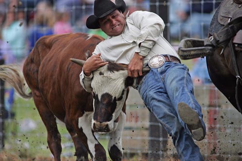 Steer wrestling 