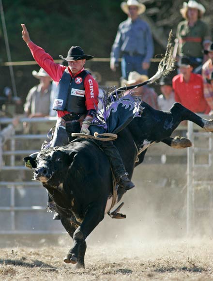 Bull ride 