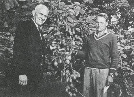 Grahame Bayliss’s Hayward crop