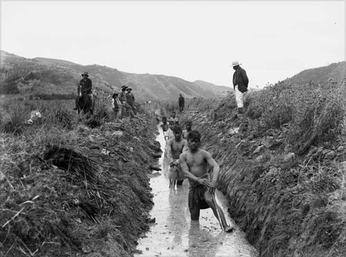 Ditch digging