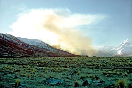 Burning tussock