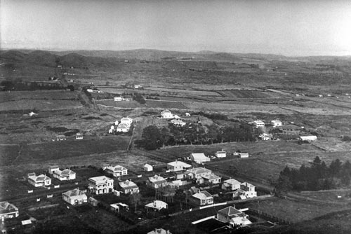 Small farms in Mt Eden