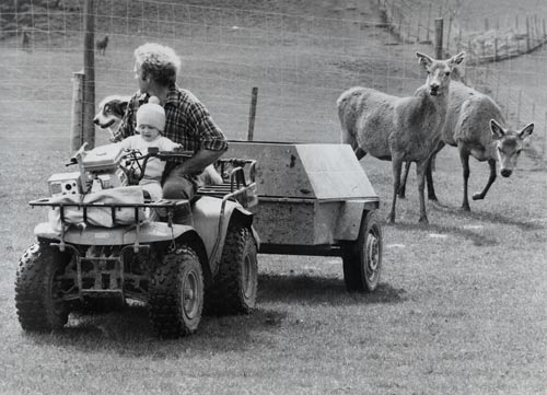 Deer farming, 1984