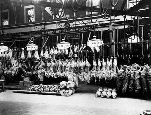 Meat for export