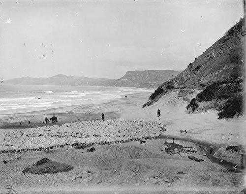 Drovers and sheep, East Coast 