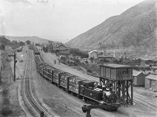 Train carrying sheep, Cross Creek station