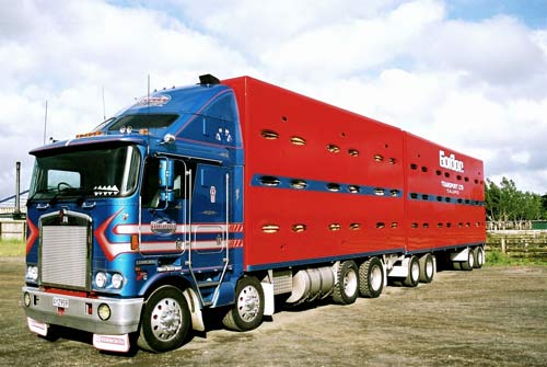 Modern stock truck, 2003