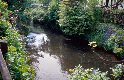 Urban stream 