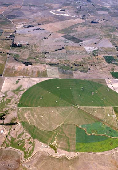 Irrigated fields 
