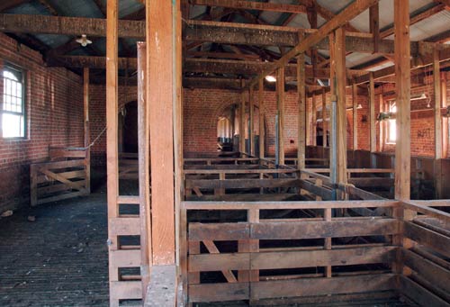 Inside the Homebush Station woolshed 