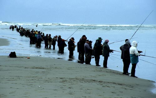 Salmon fishing