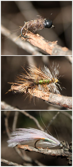 Nymph, dry fly and wet fly