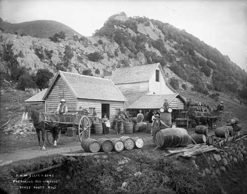 Ellis winery, Golden Bay