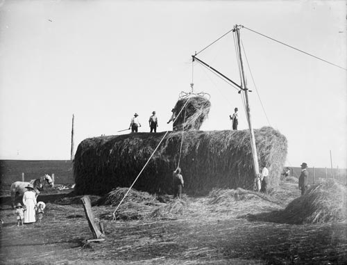 Manual hay grab