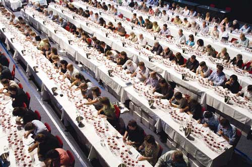 Tasting pinot noir