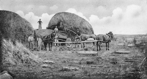 Horse-powered threshing machine
