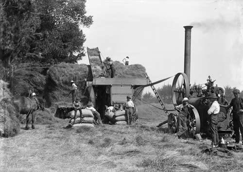 Steam-powered threshing machine