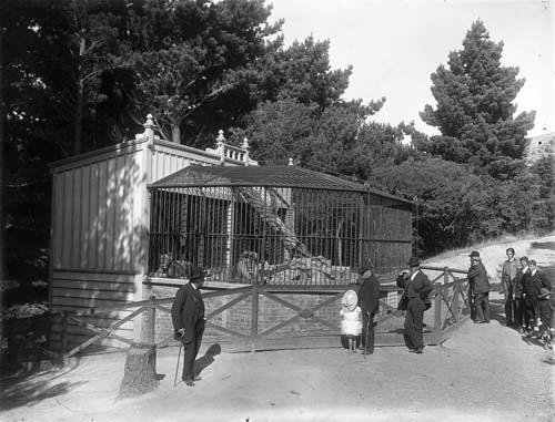 Lion cage, around 1910