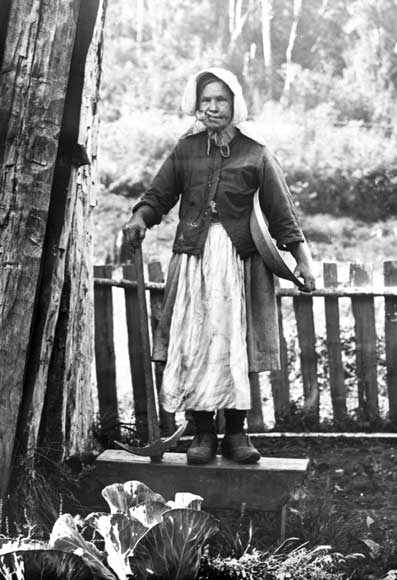 Biddy of the Buller