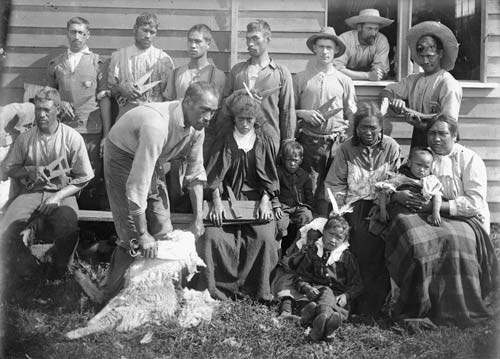 Māori shearers