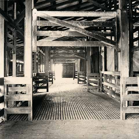 Slatted sheep-holding area