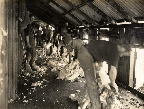 Old woolshed 