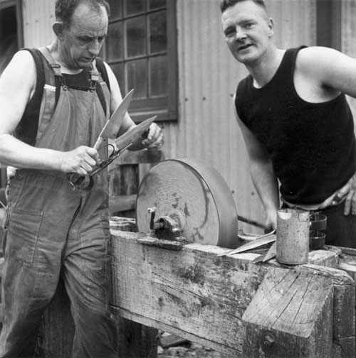 Shearers in black singlets