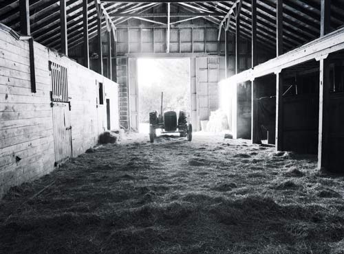 Mangatārata stable