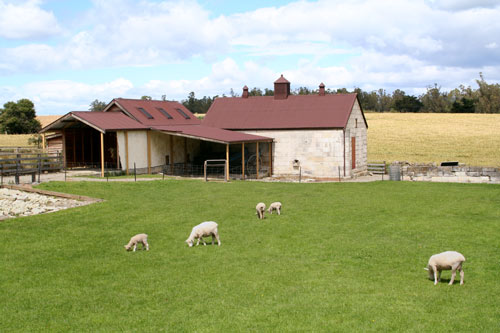 Totara Estate killing shed