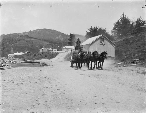 Transporting wool 