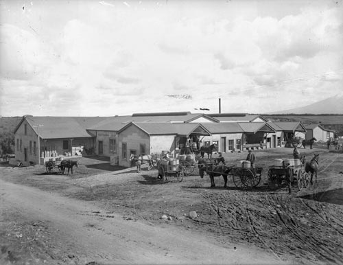 Kaūpokonui dairy factory
