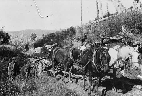 Transporting mail 