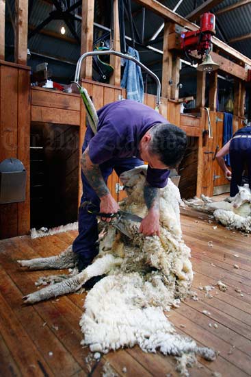 Blade shearing