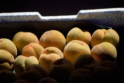 Golden Queen peaches