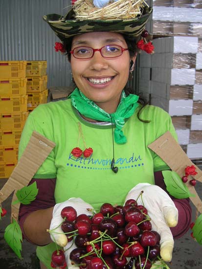 Packing cherries