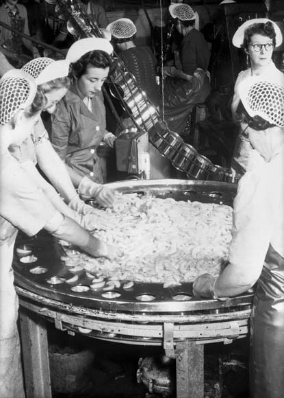 Processing peaches 