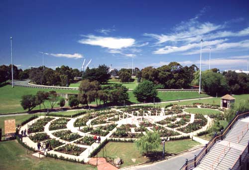 Trevor Griffiths Rose Garden 