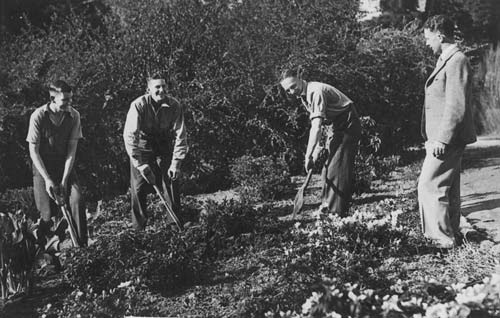 Supervising apprentices
