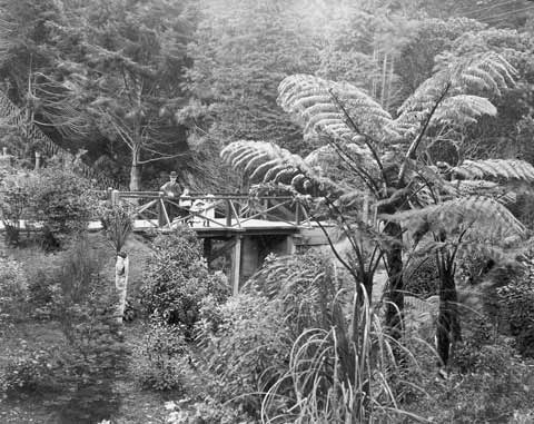 Wellington Botanic Garden