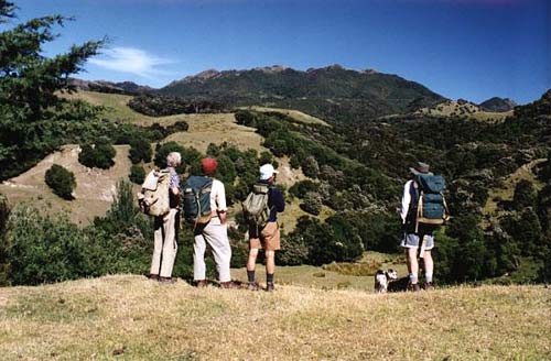 Walking the Kaikōura Coast Track