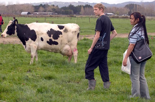 Learning about farming
