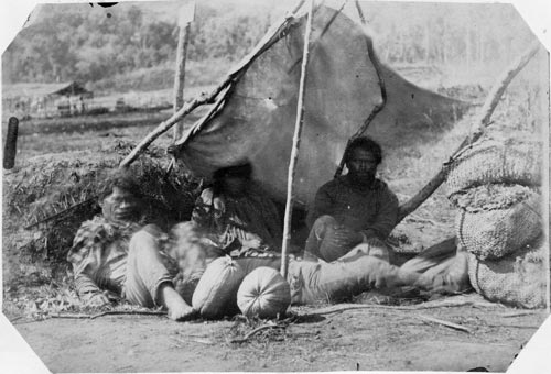 Selling melons and peaches, 1860s 
