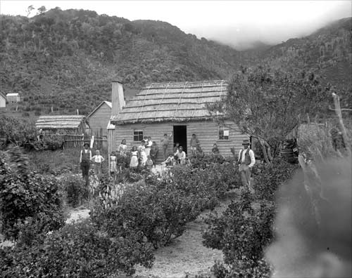 Garden at Norton family house