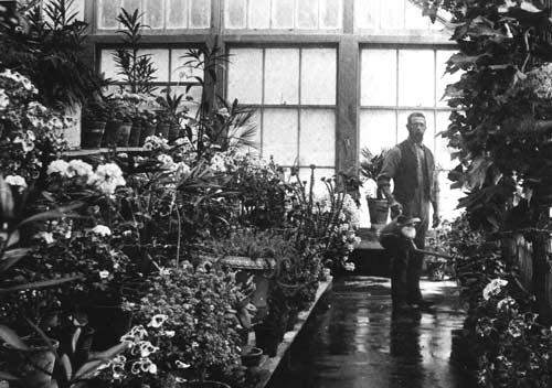 Glasshouse, Mansion House