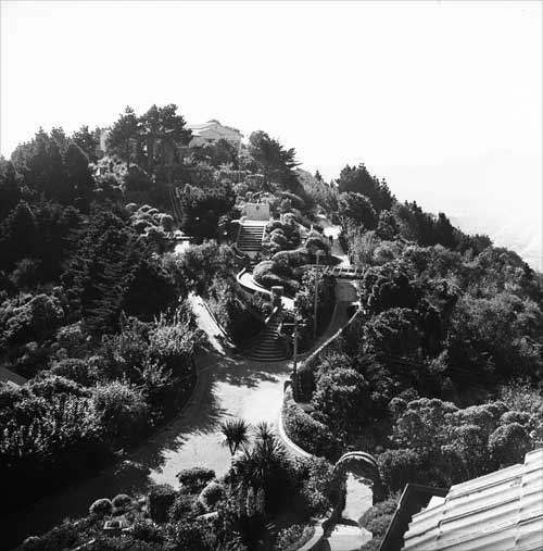 Truby King garden, 1943