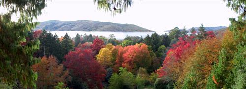 Eastwoodhill 