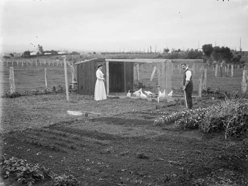 Rural vegetable garden