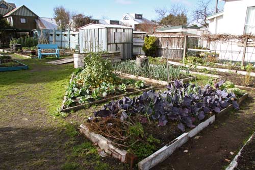 Community garden