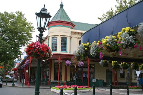 Whanganui in bloom